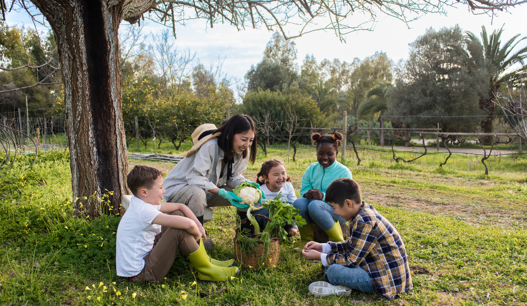 What Is Natural Environment Teaching? A Comprehensive Guide
